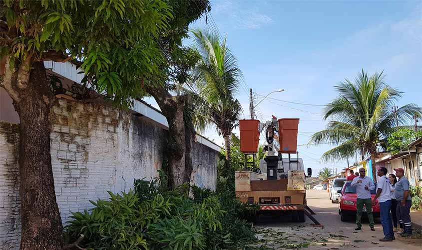 Após pedido de Anderson Pereira, Sema retira árvores que ameaçavam cair sobre muro de creche na Capital