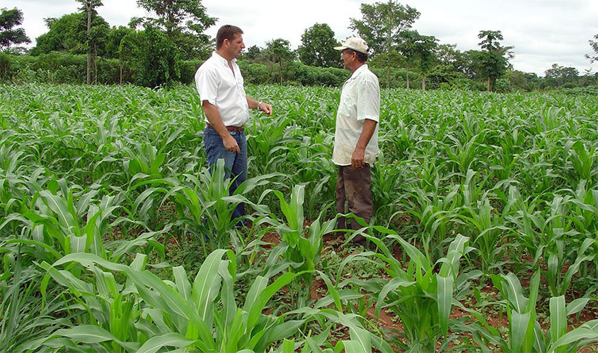 Coronavírus: produtores rurais e trabalhadores do campo também devem se proteger