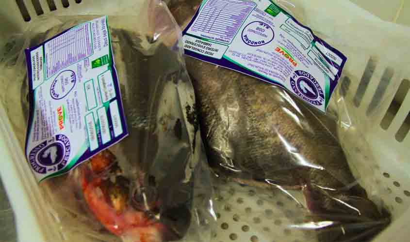 Criação de tambaqui é predominante na piscicultura em propriedades rurais da Zona da Mata