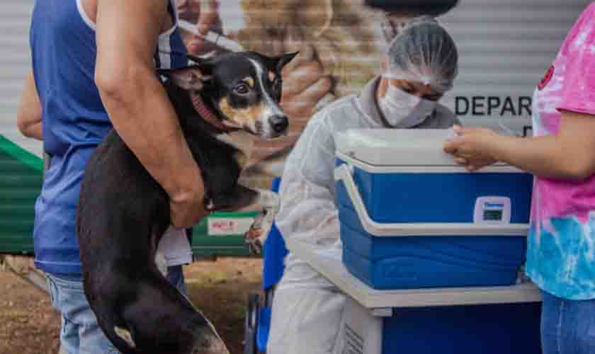 Vacinação antirrábica residencial pode ser agendada em Porto Velho