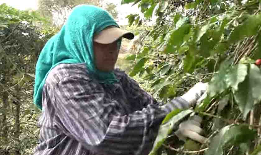 CNJ premia documentário sobre violência contra mulher no campo