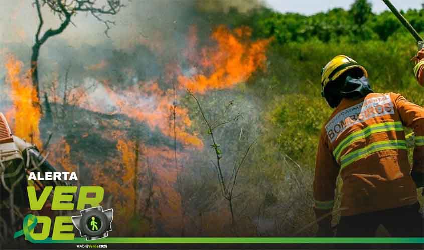 Usina tem responsabilidade reconhecida por queimaduras sofridas por monitor de incêndios