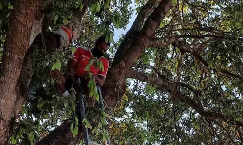 UNIFACIMED realiza atividade ao ar livre com a população