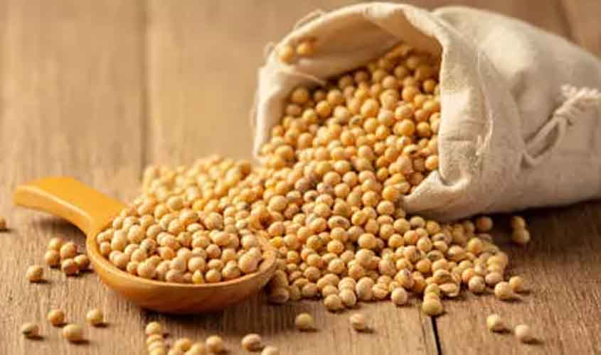 Soja registra alta no Paraná, com a saca vendida a R$ 135,06, em Paranaguá