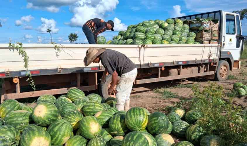 Mais de 136 toneladas de alimentos são transportados pela Prefeitura em apoio aos produtores rurais de Porto Velho