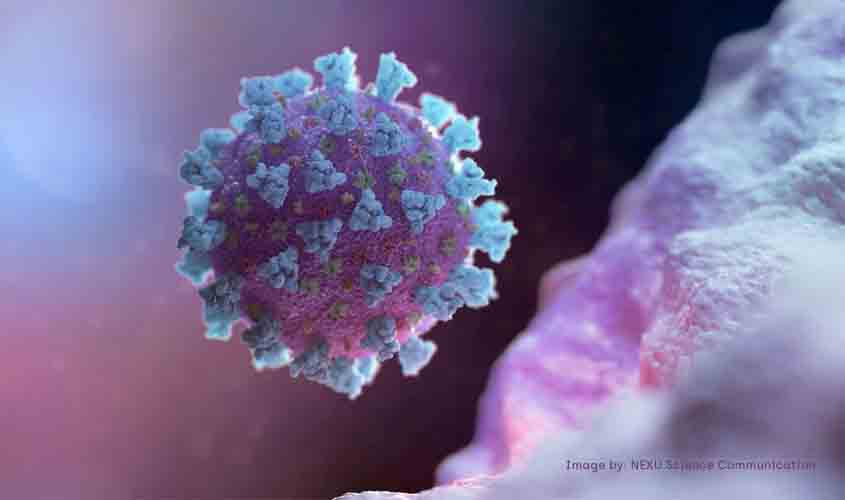 Estudo: anticorpos de quem teve covid-19 não protegem contra variante