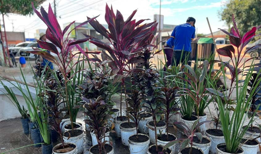Plantio começa no primeiro Pocket Park de Porto Velho