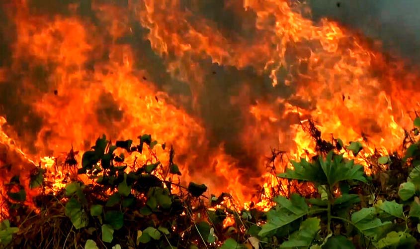 Alemanha, Canadá e Irlanda unem-se à França contra Bolsonaro