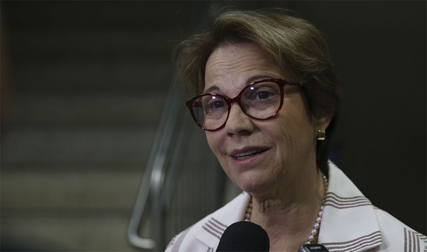 Ministra defende punição para quem fizer queimada ilegal