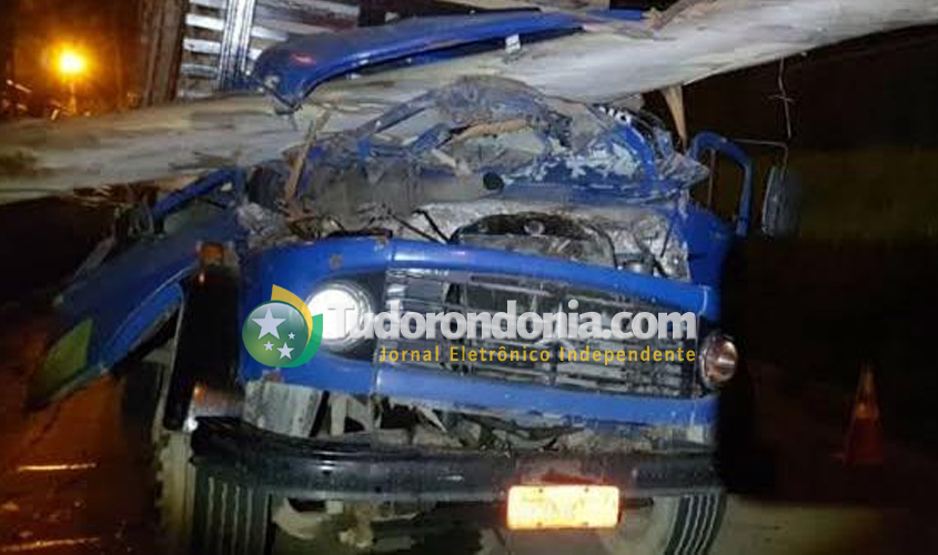 Árvore cai sobre boleia de caminhão e mata adolescente