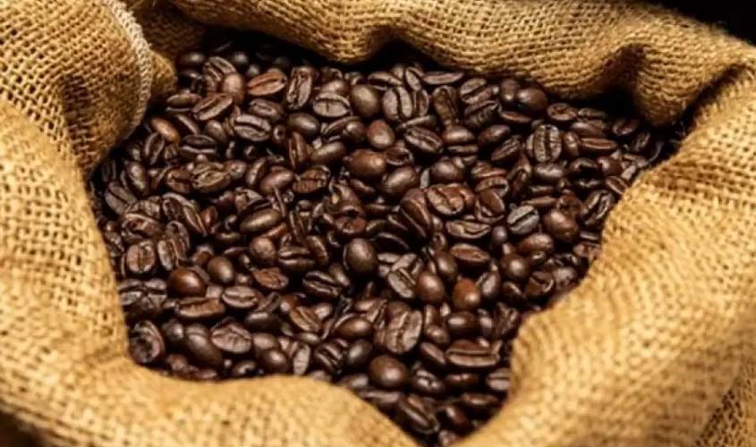 Em colheita recorde, produção é estimada em 2,43 milhões de sacas