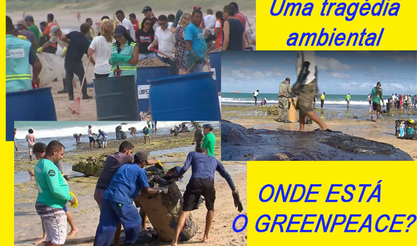 Sem apoio das ongs poderosas e da grande mídia, são os brasileiros comuns os que limpam as nossas praias