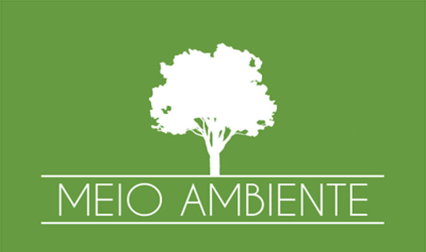 Partidos questionam decreto que altera regras para apuração de infrações ambientais