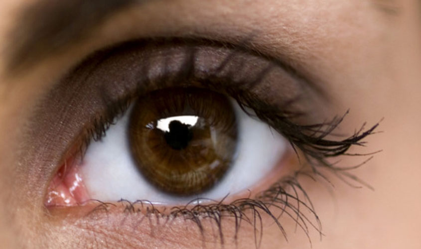 De olho no que vem por aí