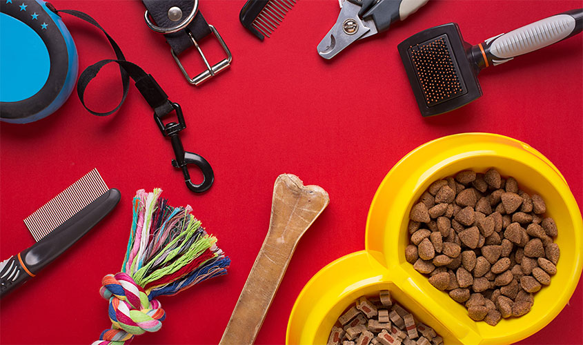 5 oportunidades para crescer financeiramente no mercado pet