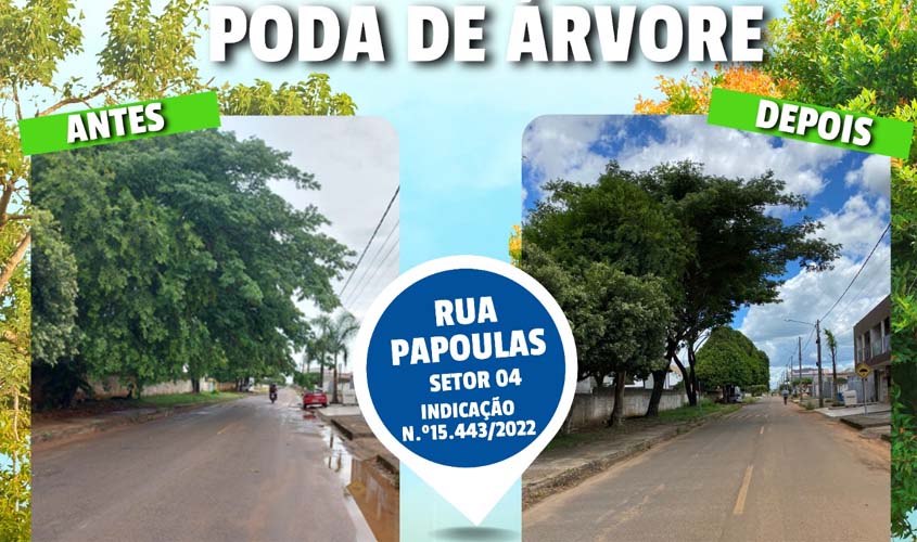 Prefeitura de Ariquemes atende solicitação da vereadora Rafaela do Batista e realiza poda de árvore no setor 04