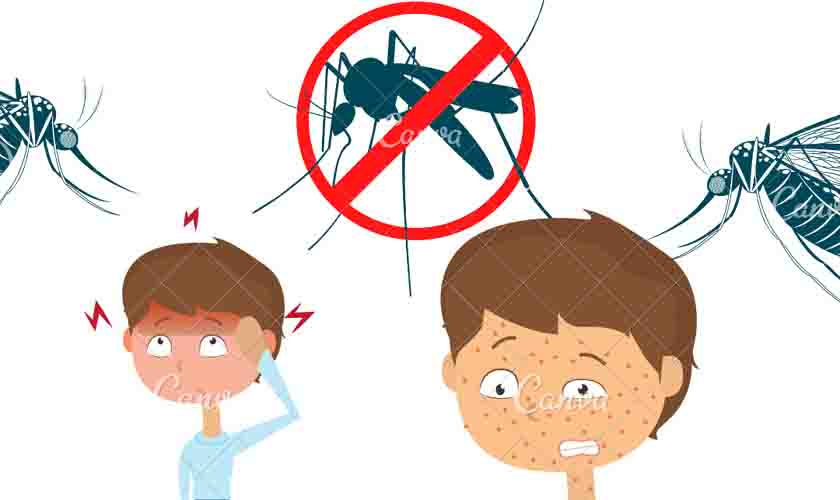 Grupo da UNIR lança vídeos na internet sobre arboviroses