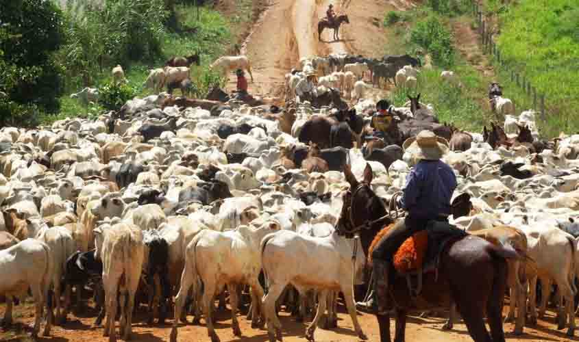 Rondônia registra aumento de empregos com carteira assinada durante um ano de pandemia; novas empresas foram criadas