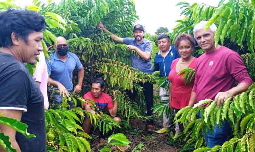 Indígenas interessados no cultivo do café aprendem sobre manejo sustentável em lavouras