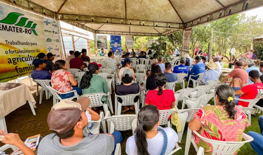 Dia de Campo apresenta Cacau como alternativa para recuperação de áreas degradadas