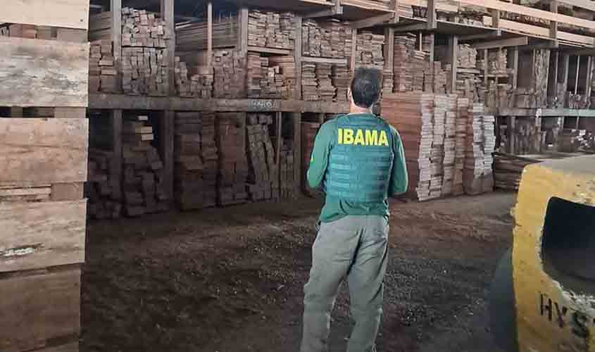 Ibama apreende e doa mais de 1.000 m³ de madeira ilegal em RO