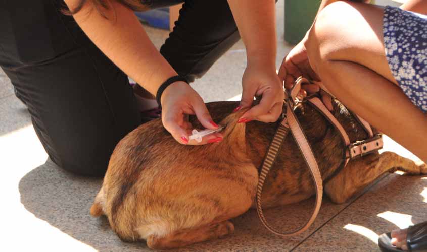 Governo Federal diminuiu doses da vacina antirrábica para Porto Velho