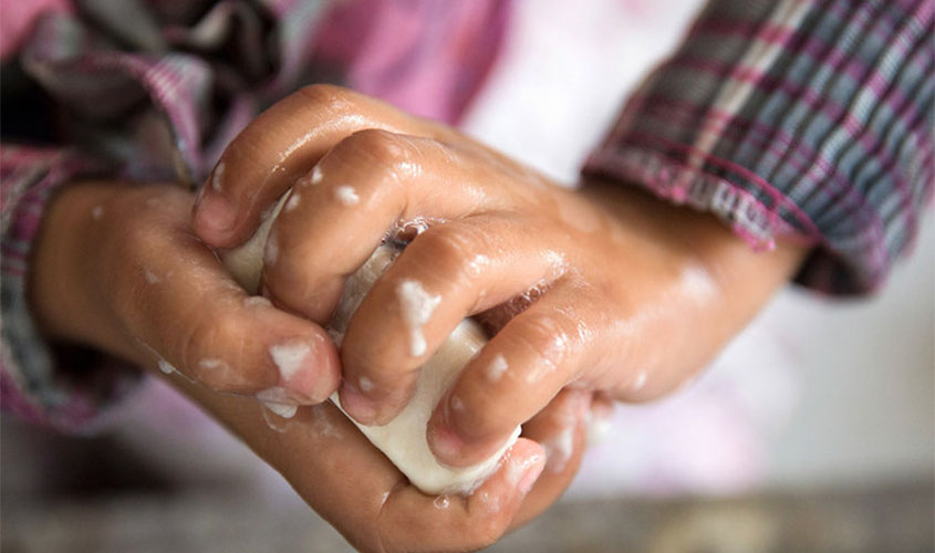 Saiba como higienizar alimentos e os cuidados necessários ao sair de casa durante pandemia