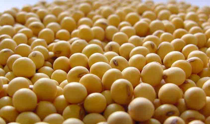 Com alta de 0,50% no preço, saca de 60 quilos de soja passou a custar R$ 134