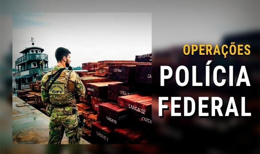PF combate o comércio ilegal de madeira em Rondônia