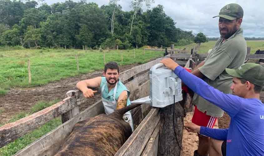 Projeto de melhoria da eficiência reprodutiva fortalece bovinocultura leiteira em Rondônia