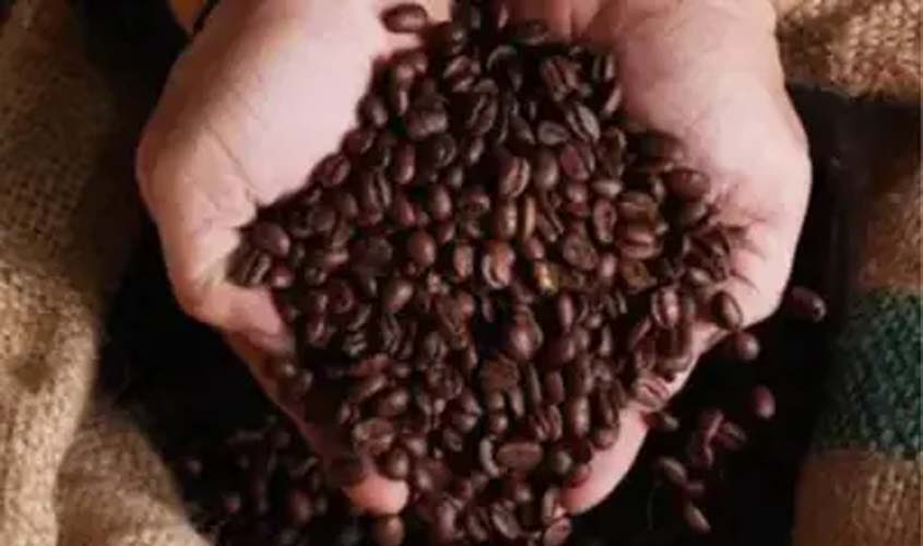 Café hoje: confira cotações para esta quarta-feira (24)
