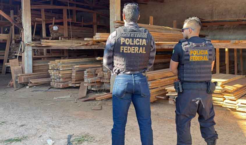 PF deflagra Operação Benevolentia contra extração ilegal de madeira em Terras Indígenas de Rondônia