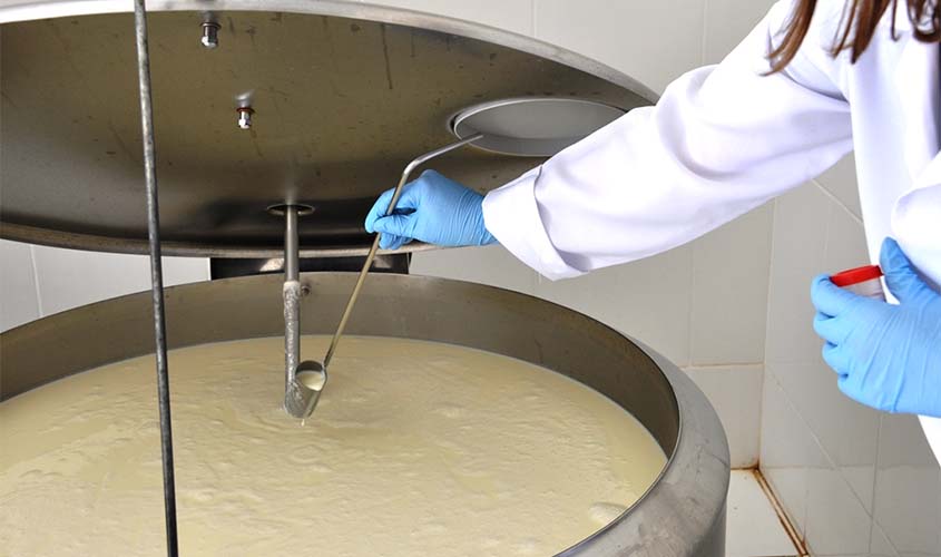 Resultados de pesquisa da Embrapa apontam desafios e soluções para a qualidade do leite 