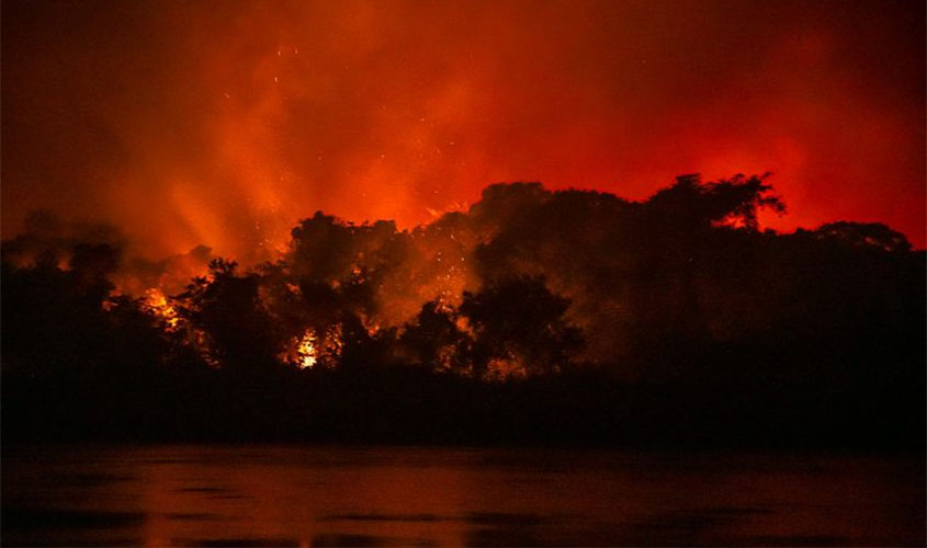 Deputados querem que ministro do Meio Ambiente explique combate às queimadas no Pantanal  