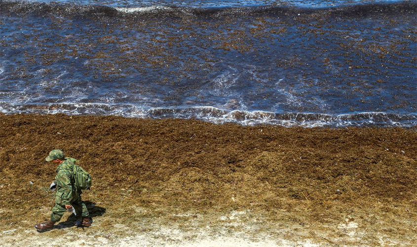 Óleo continua se espalhando e atinge novas praias de Pernambuco