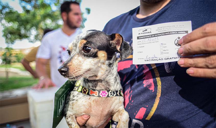 Campanha no 2º distrito imuniza 10 mil animais contra a raiva