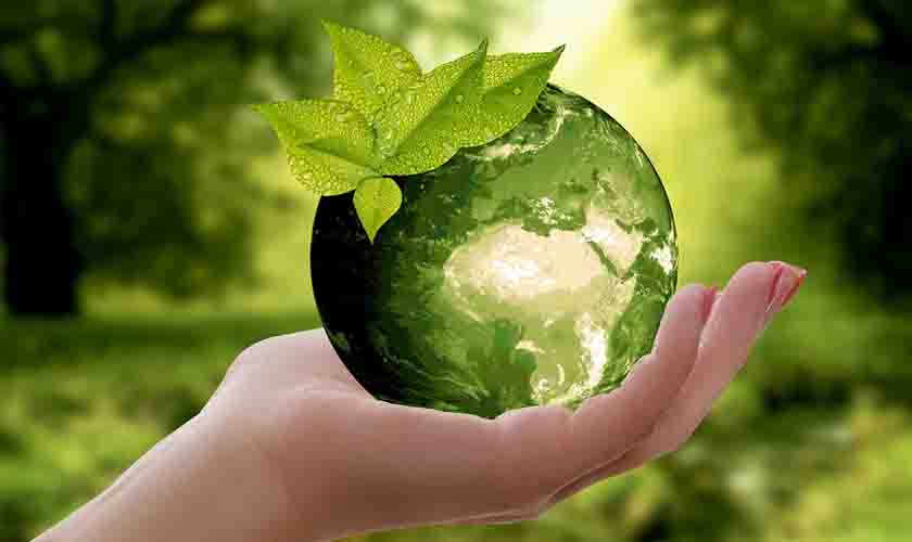 Quer ajudar o planeta? Veja 5 atitudes sustentáveis para iniciar hoje!