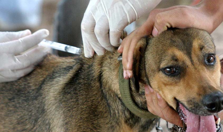 Vacinação contra a raiva será neste sábado (29)