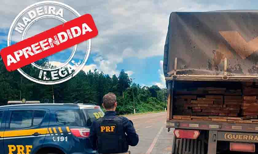 Em Rondônia, PRF identifica transporte irregular de madeira
