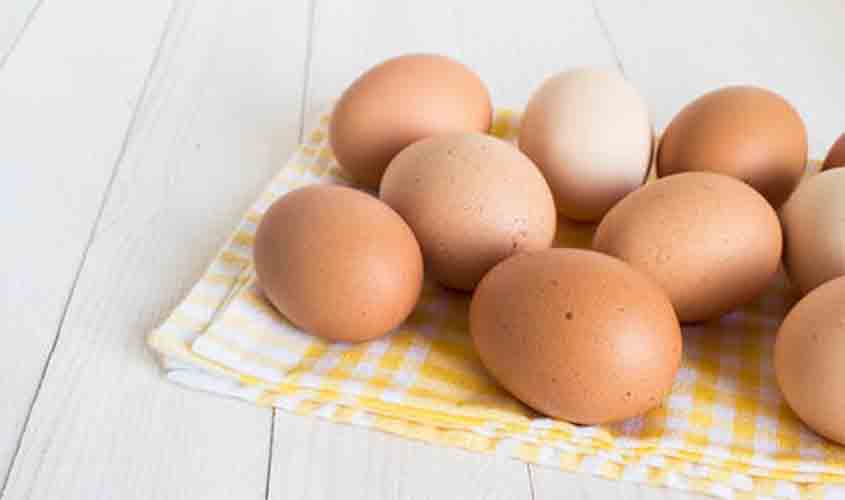 Carimbo nos ovos a granel: prazo é adiado para setembro