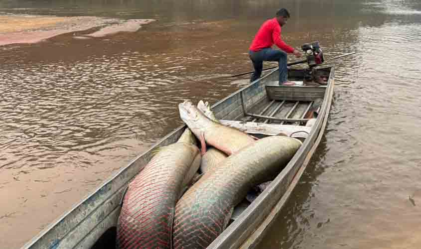 Governo de RO promove parcerias para fortalecer ações do manejo do Pirarucu na Resex Rio Cautário
