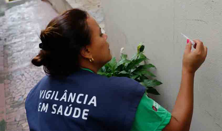 Dengue: associação revela aumento dos casos e alerta sobre prevenção no Carnaval