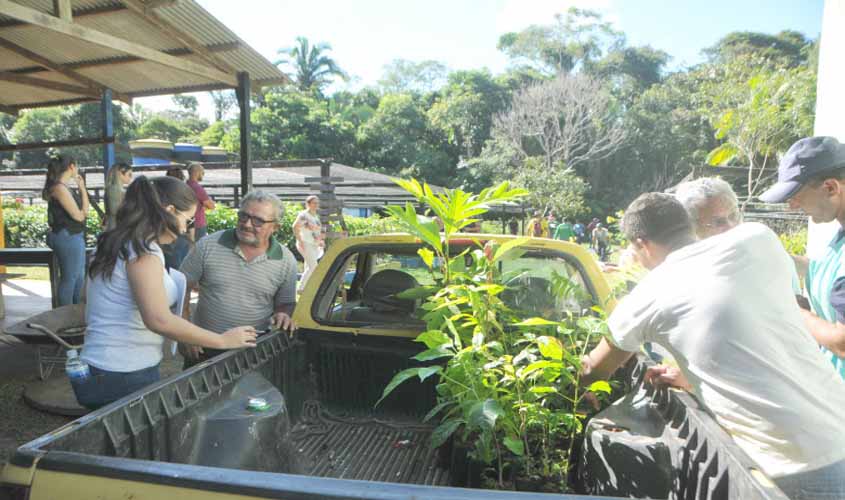 Viveiro Municipal bate recorde na distribuição de mudas