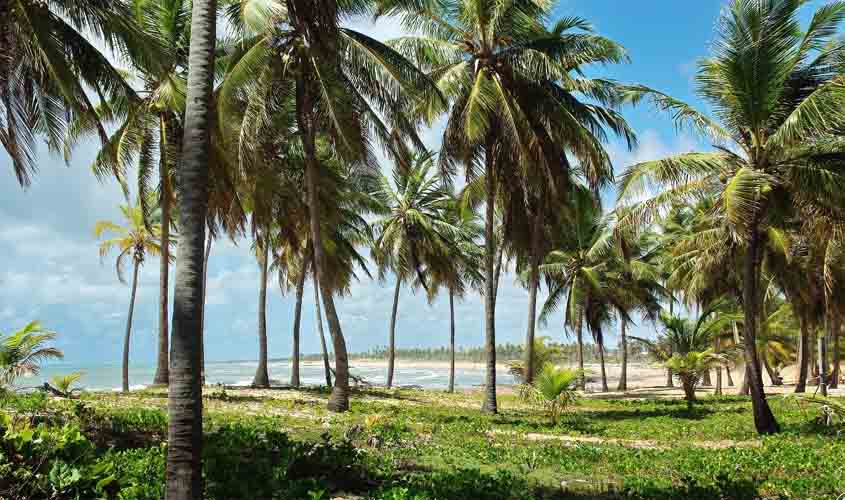  5 lugares imperdíveis no Nordeste brasileiro