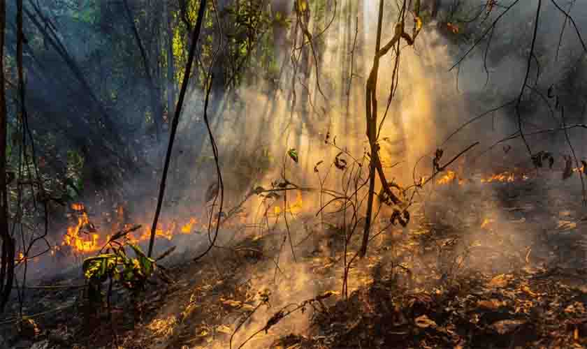 MP instaura procedimento visando à adoção de medidas preventivas no combate às queimadas em áreas públicas e particulares