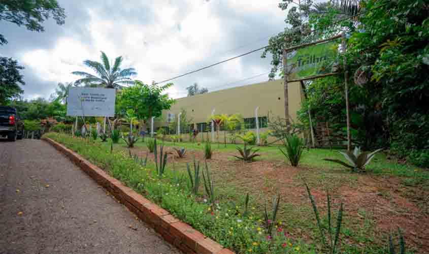 Prefeitura fortalece ações de plantio no Viveiro Municipal para tornar Porto Velho uma cidade mais verde e mais sustentável