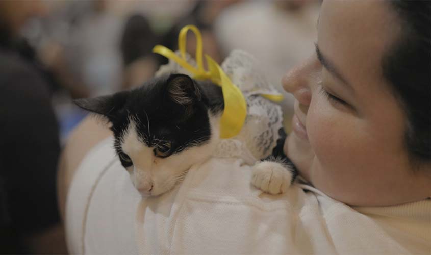 Feira de adoção no Porto Velho Shopping oferece lares para pets