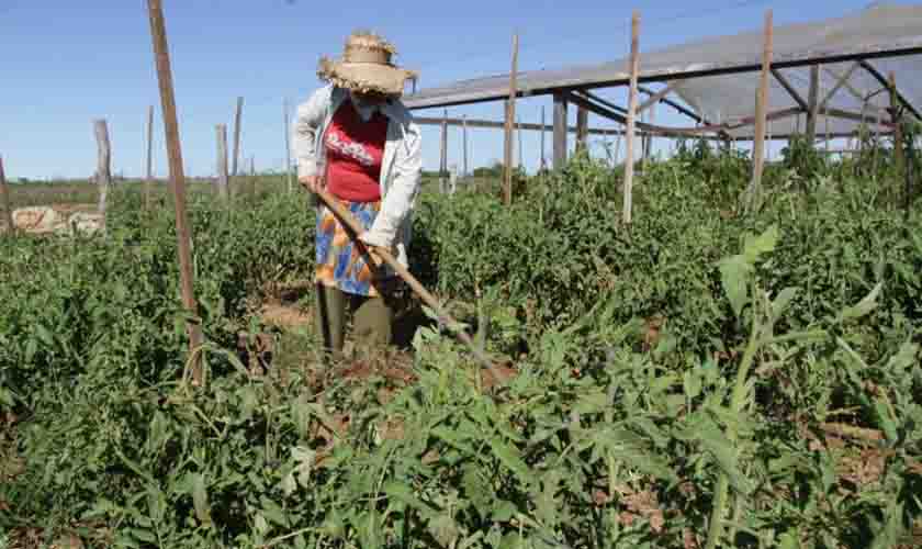Tema da 9ª edição da Rondônia Rural Show Internacional homenageia mulheres do agronegócio