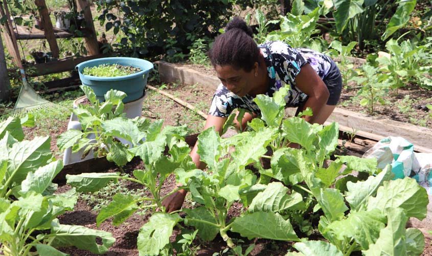 Assistência agrícola transforma comunidades quilombolas na região do Vale do Guaporé