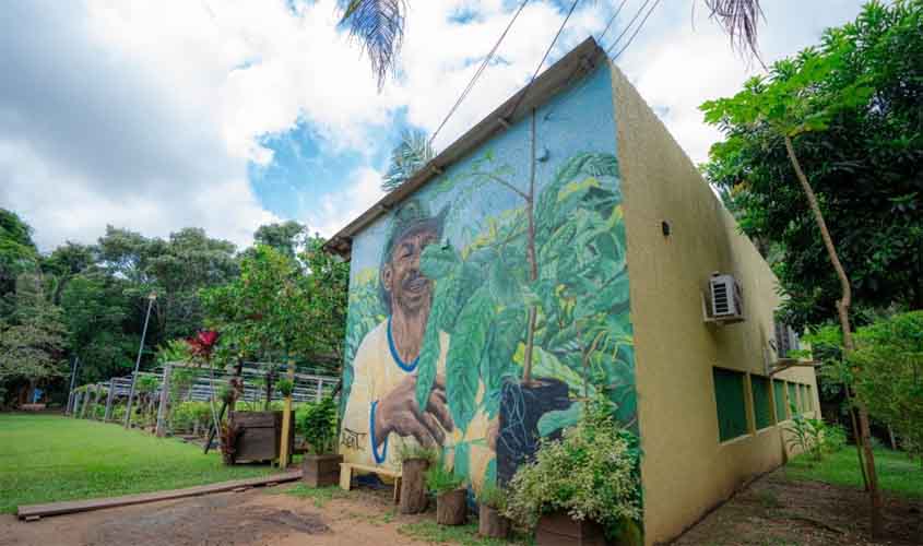 Viveiro Municipal de Porto Velho amplia doações e distribuição de mudas em 2025